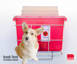 Biohazard Specimen crate and dog