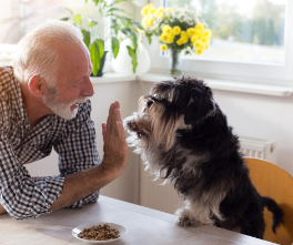 Caring for Your Senior Pet: The Importance of Biannual Exams and Trusting Your Veterinary Team