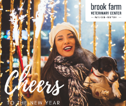 Elevate Your Pet Parenting in 2024 with Brook Farm Veterinary Center
