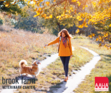 Fall Pet Safety Tips