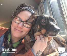 A dog and woman smiling