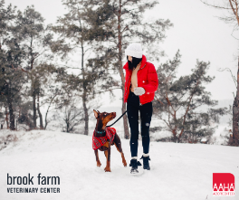 How To Keep Your Pet Safe This Winter