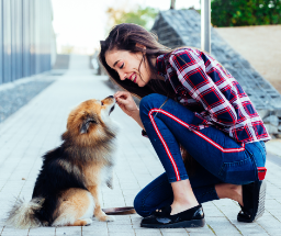 How to Care for Pet Wounds