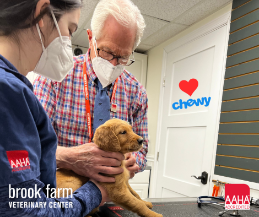 How to Choose Your Veterinarian on Chewy.com