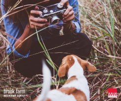 How to Take Great Pics of Your Pet