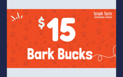 Introducing Bark Bucks: Earn More Rewards!