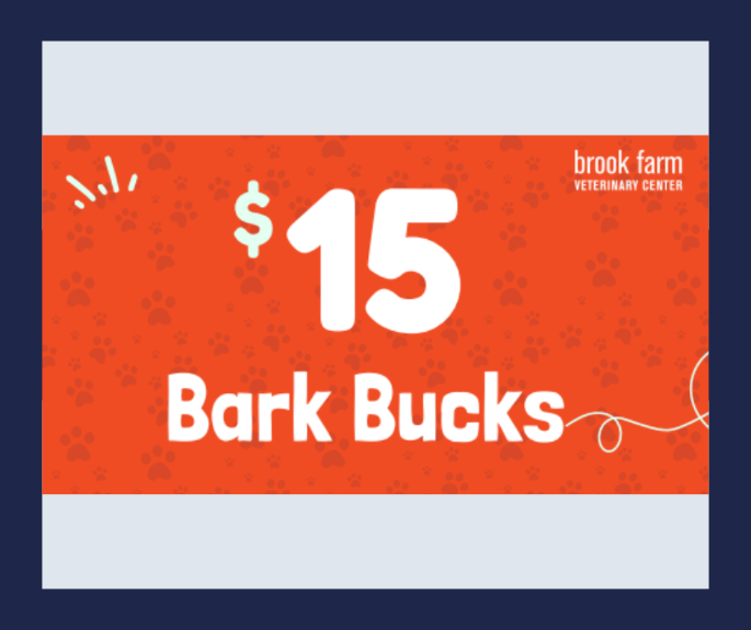 Introducing Bark Bucks Earn More Rewards!