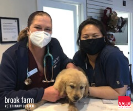 Is your Vet AAHA-Accredited? We are!