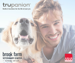 The Truth About Trupanion Pet Insurance