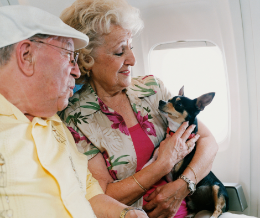 A couple with a dog on a plane