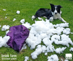 Tips For Picking The Right Toy For Your Heavy Chewer
