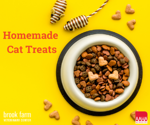 Treats Even the Pickiest Cat will Enjoy