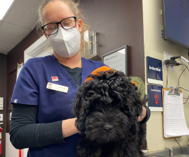 Vet Tech Spotlight