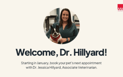 Welcome Dr. Jessica Hillyard as she joins the Brook Farm Family!