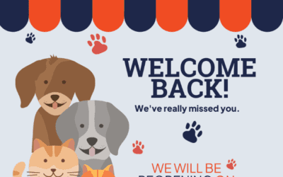 Welcome back! Our lobby has reopened.