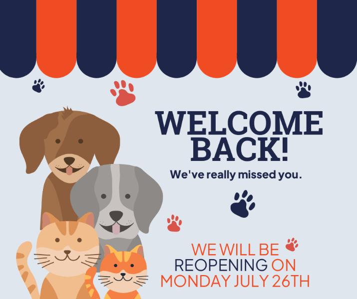 Welcome back! Our lobby has reopened.