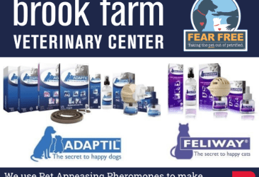 What Are Pheromones and Why Do We Use Them?