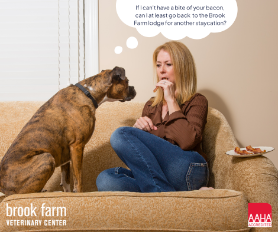 Why Lodging at Brook Farm Leaves Them Wanting More!