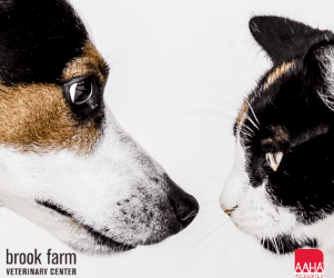 Zoonotic Diseases